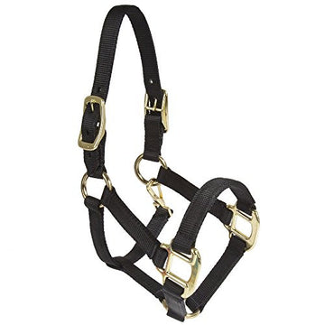 Halter - Nylon Miniature with Double Buckles on Crown (Black - Mini)