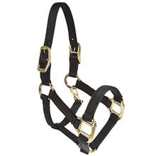 Halter - Nylon Pony with Double Buckles on Crown (Black - Pony)