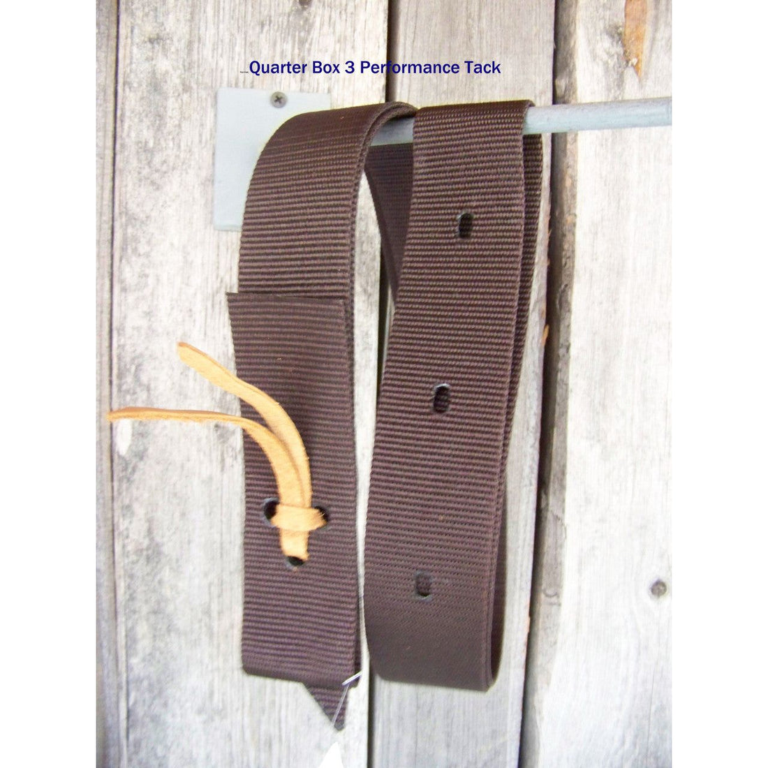 Tie Strap - Circle P Poly Web with Leather Tie Strings