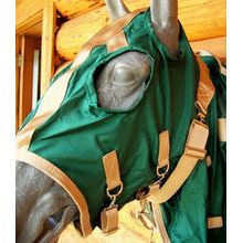 Nylon Hood - Hunter Green and Tan by BMB