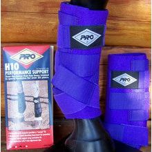 PRO H10 Performance Support - Purple - Size Large