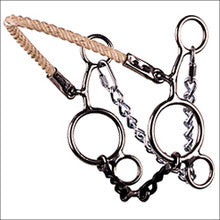 Bit - Reinsman Hodges Futurity