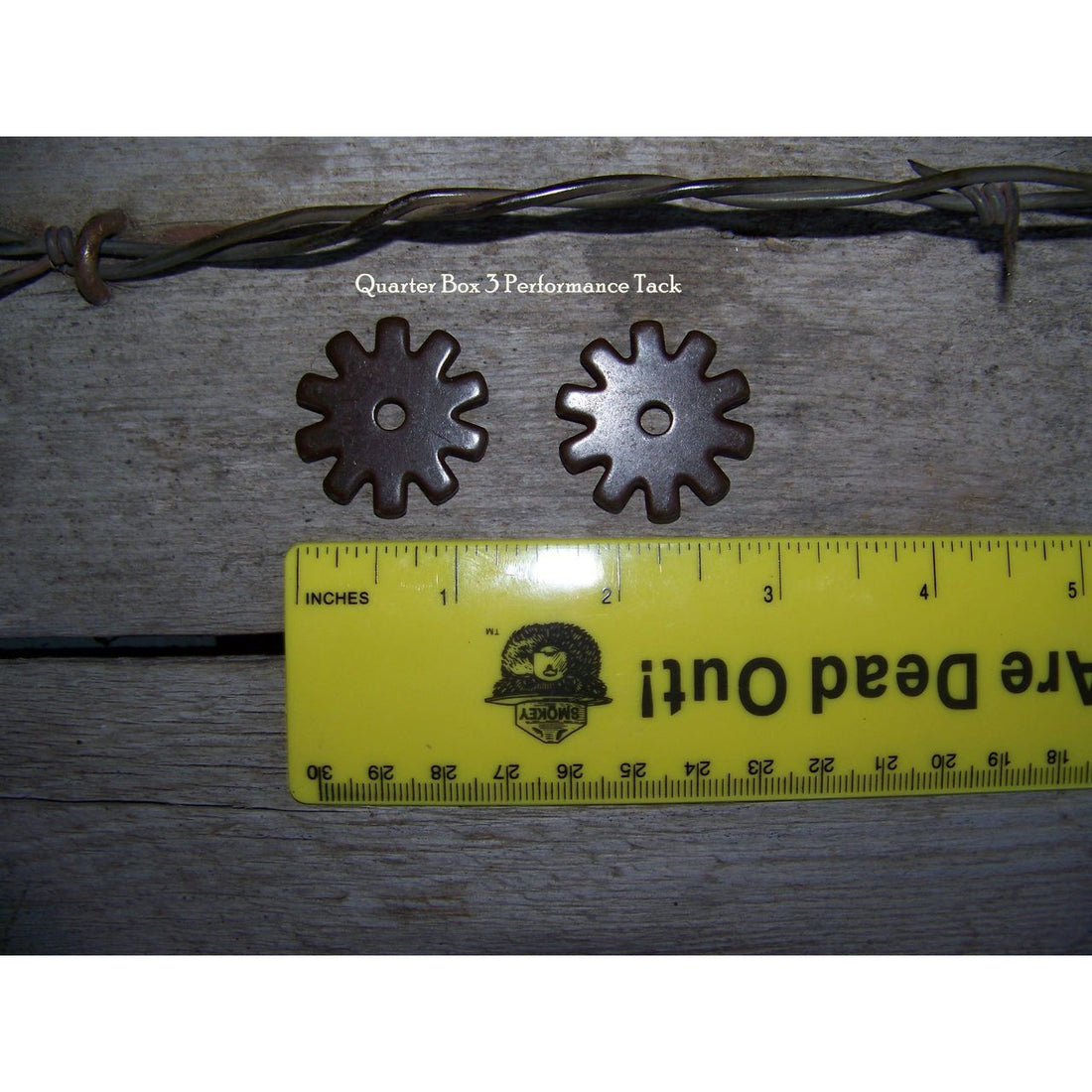 Rowels - 10 Point - Blunt (1 1/4") with Cotter and Pins