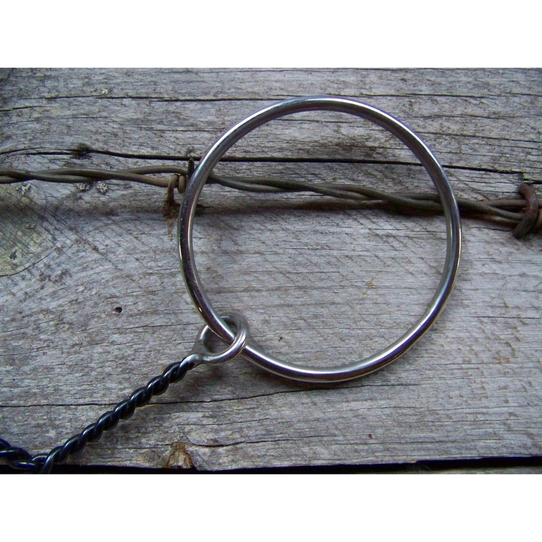 Bit - SS Ring Bit with Sweet Iron Twisted Snaffle