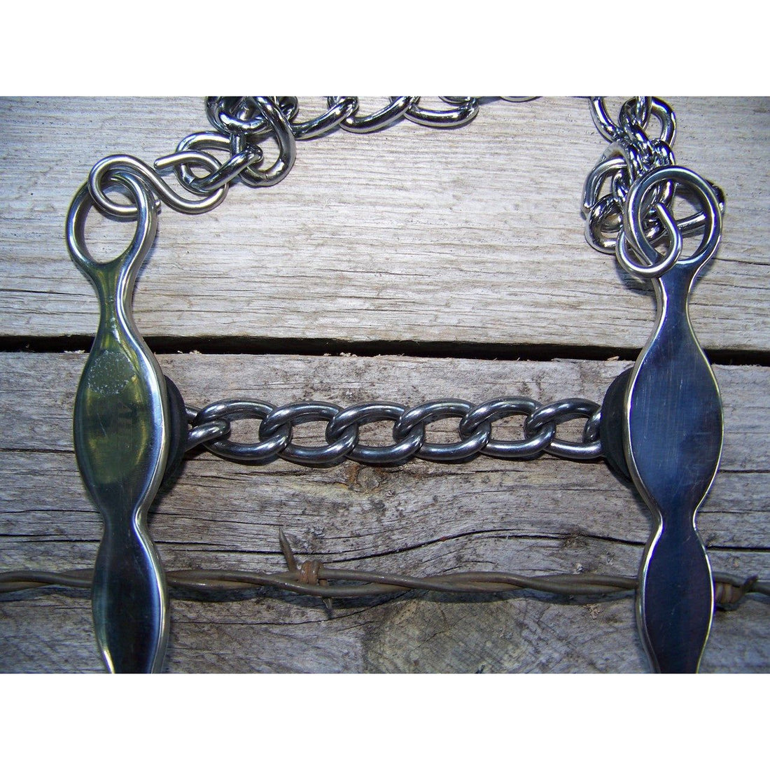 Bit - SS Roping Bit with Chain Mouth
