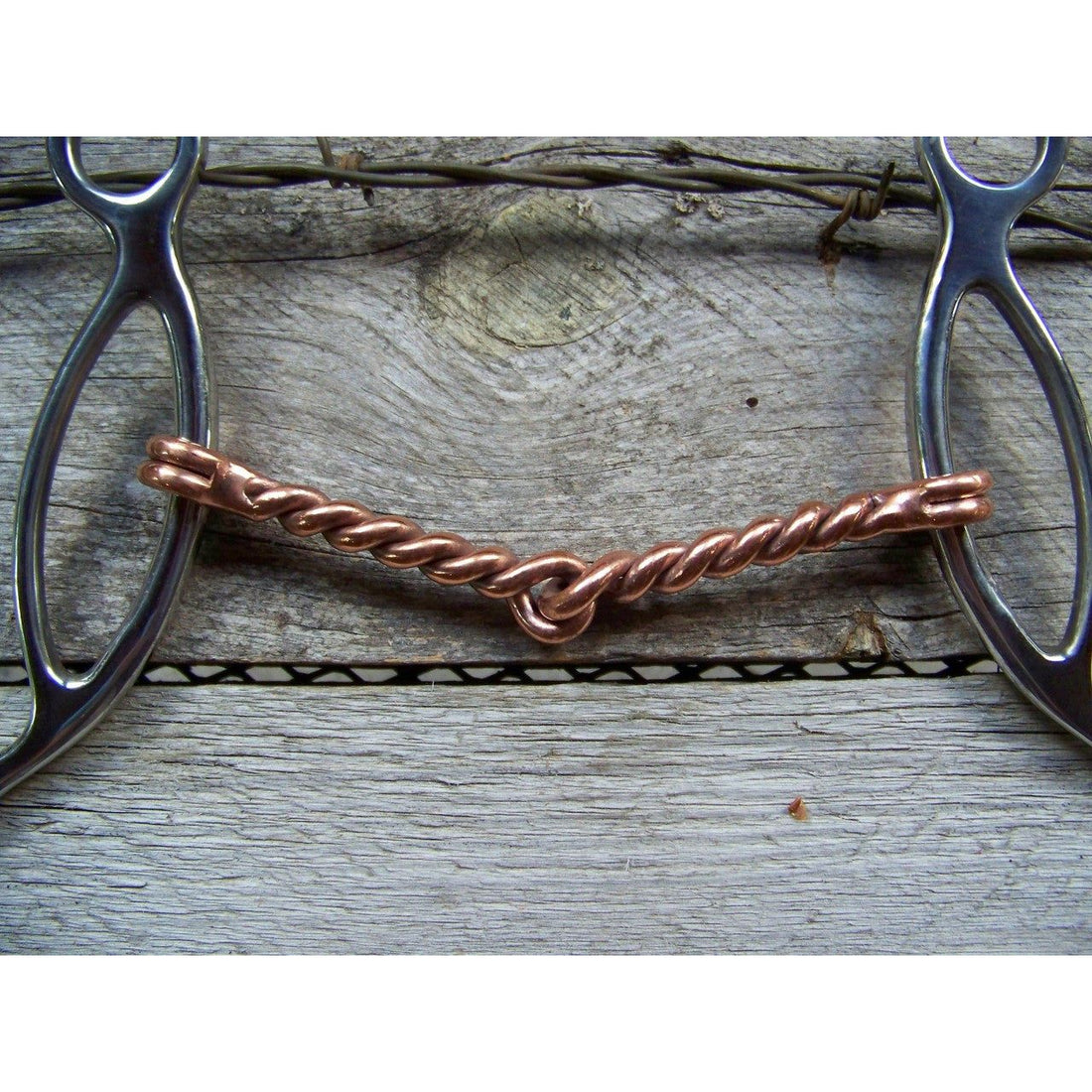 Bit - SS Sliding Gag with Twisted Copper Mouth