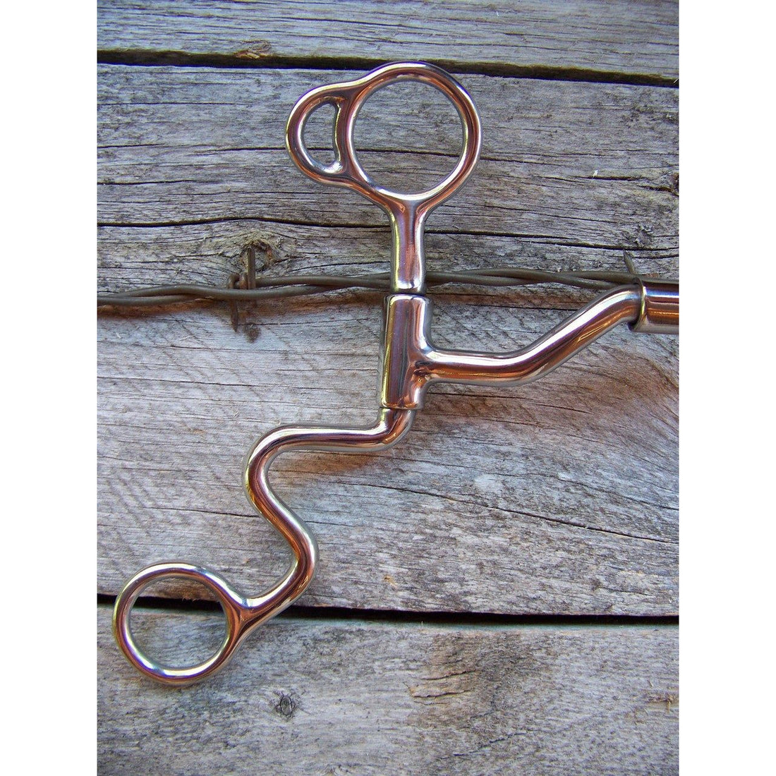 Bit - SS Training Bit with Low Port, Mullen Relief