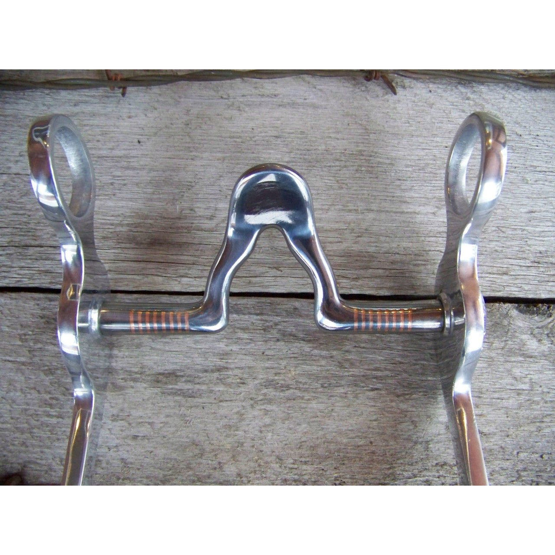 Bit - Francois Gauthier Grazing with Cathedral Port