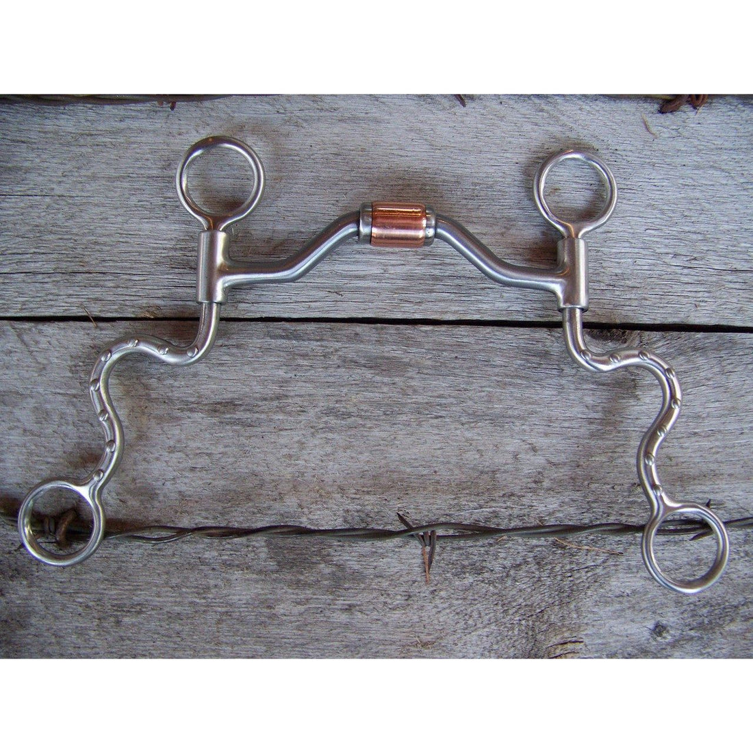 Bit - Francois Gauthier SS Brush w/Low Port