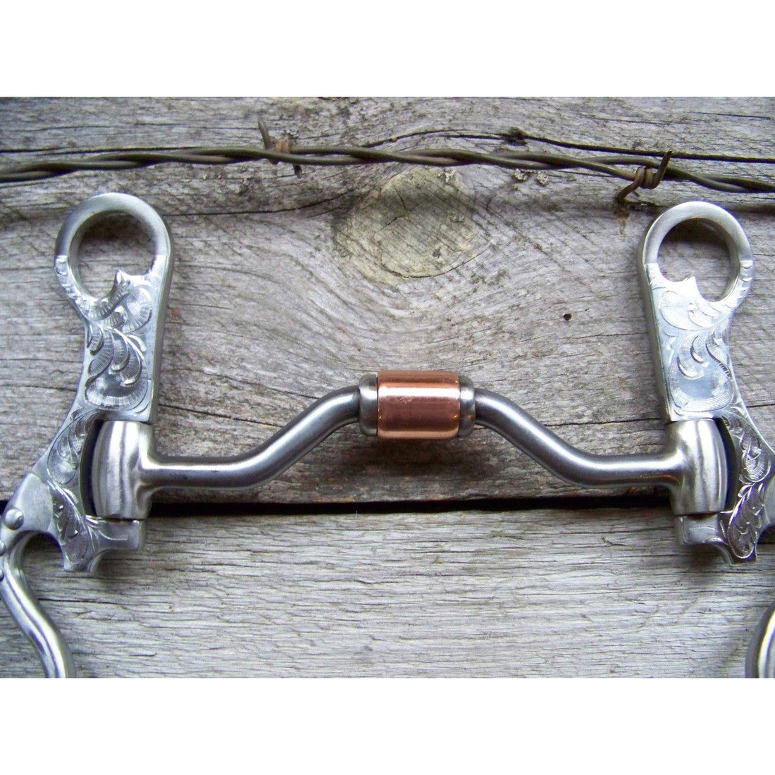 Bit - Francois Gauthier Futurity Hinged Port