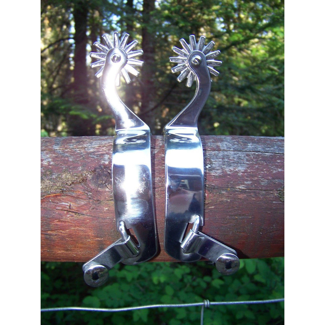 Spurs - Stainless Steel Plain Shank (Mens)