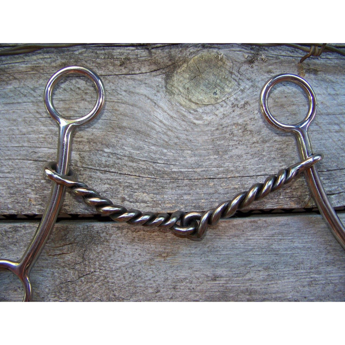 Bit - SS Sliding Gag with Twisted Wire