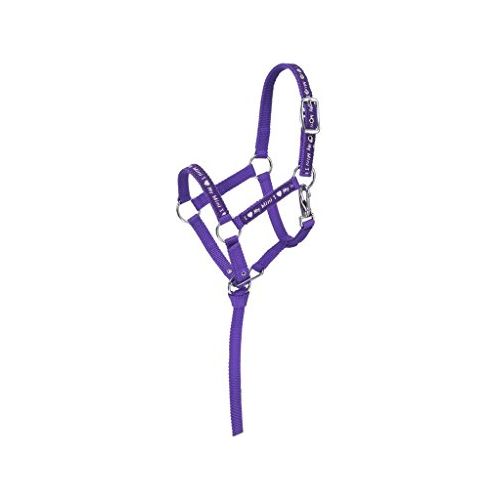 Halter - "I Love My Mini" Nylon w/Catch Lead