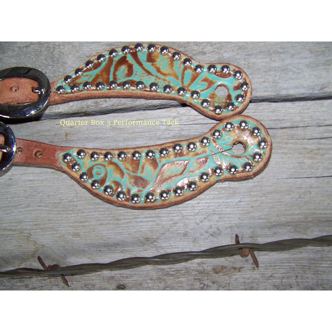 Spur Straps - Harness Leather, Exotic Print, SS Dots (Youth - Mint)