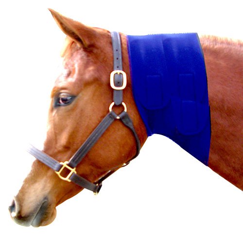 Neck Sweat - Throat Latch (10")