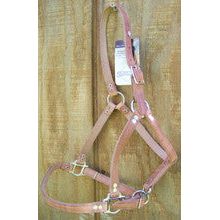 Halter - Riveted Pasture (5/8" Weanling/Pony)