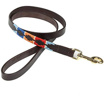 Dog Leash - Digby & Fox Drover Polo (Teal, Red, Orange, and Blue)