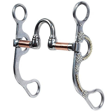 Bit - Bob Avila Daisy Correction by Professional's Choice