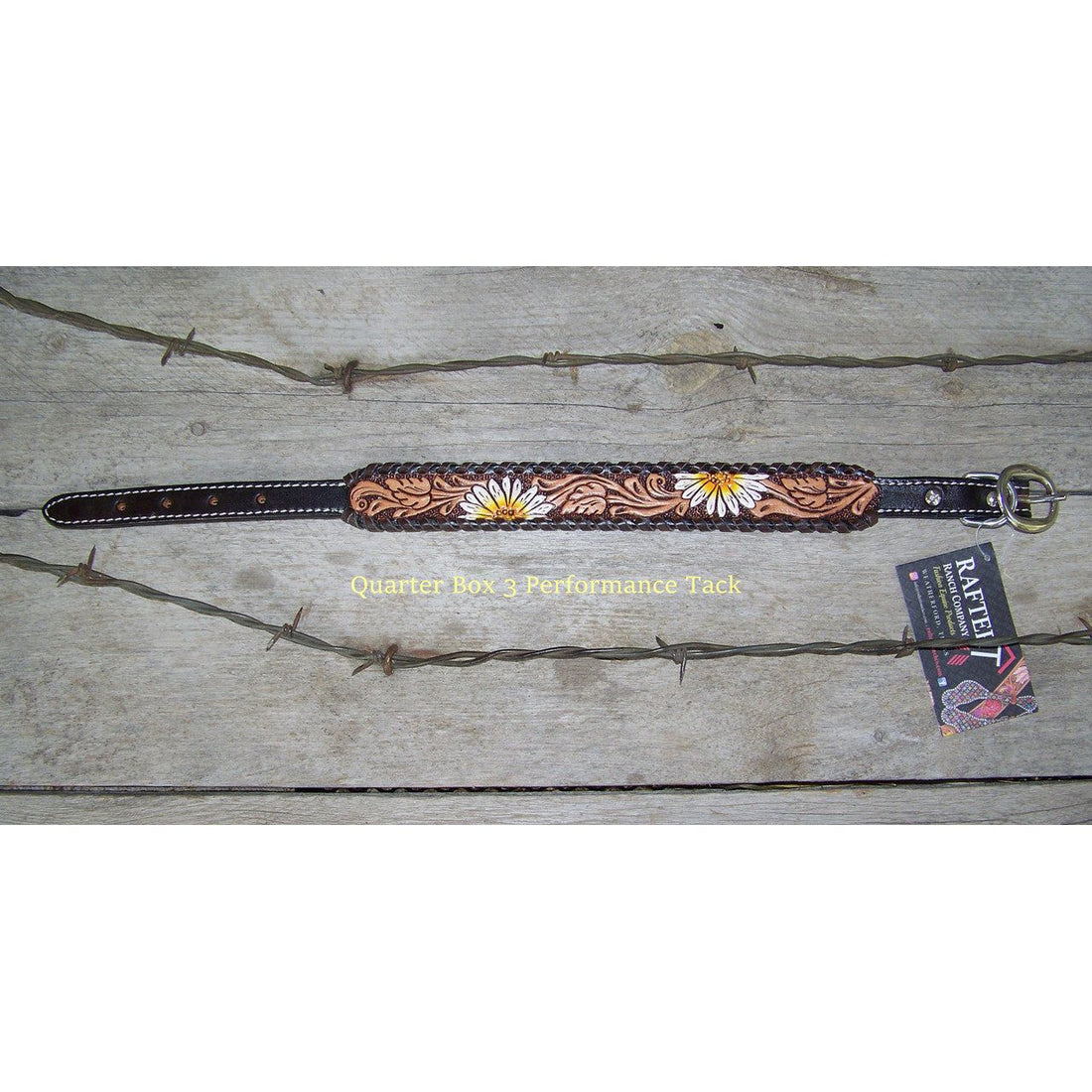 Dog Collar - Painted Daisy, Brown Whipstitch by Rafter T Ranch