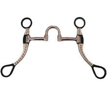 Bit - Silver Engraved Shanks w/Dots Correction