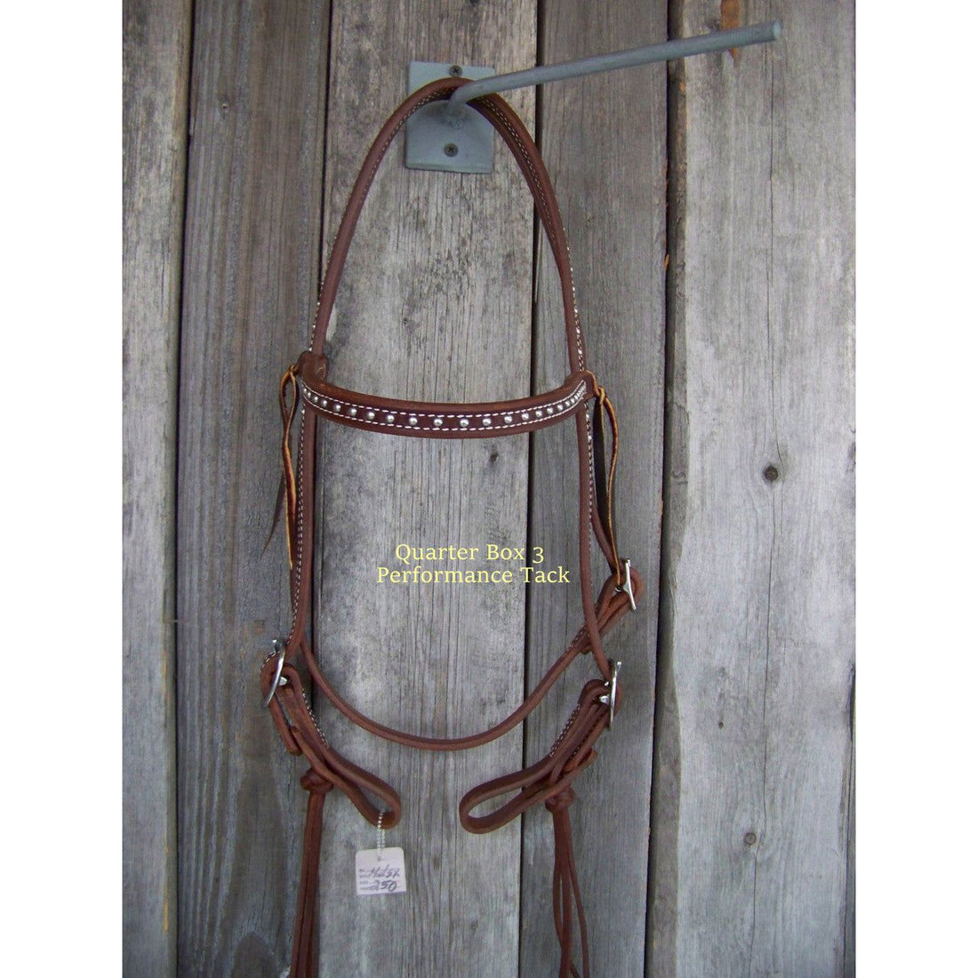 Headstall - Browband w/Stainless Steel Dots (Dark Oil)