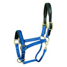 Halter - Chafeless Breakaway (Pony - Royal Blue)
