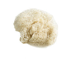 Hair Nets - Heavy Weight 2 Per Package (Blonde)