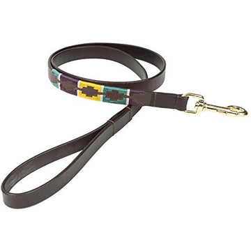 Dog Leash - Digby & Fox Drover Polo (Yellow, Green, and Purple)