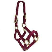Halter - Nylon Pony with Double Buckles on Crown (Burgundy - Pony)