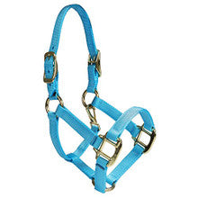 Halter - Nylon Pony with Double Buckles on Crown (Light Blue - Pony)