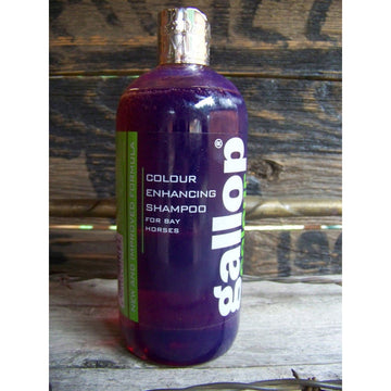 Gallop Colour Shampoo for Bay (500 ml)