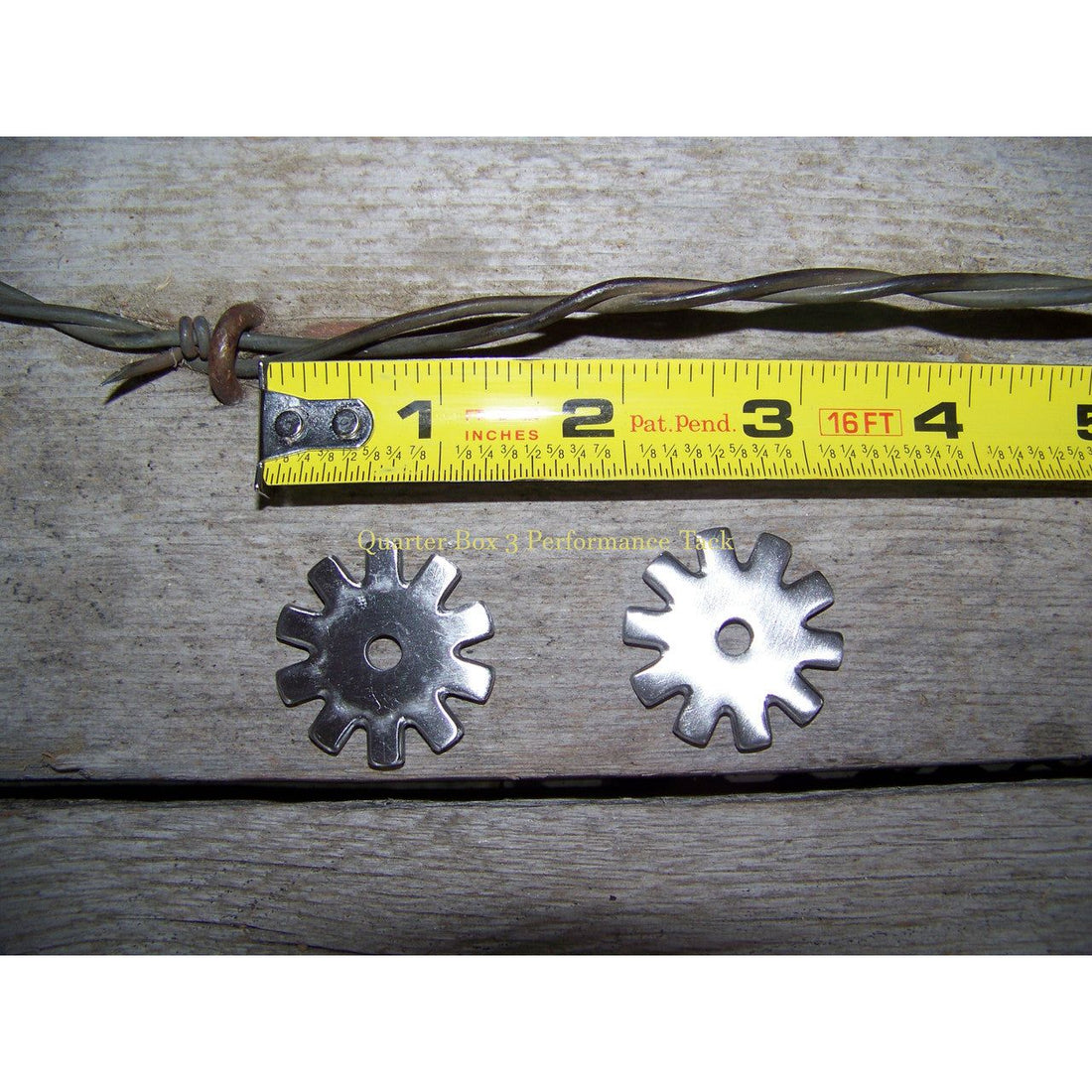 Rowels - Francois Gauthier 10 Point Blunt - SS Brushed (1 1/4")