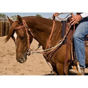 Martingale - Al Dunning German Martingale