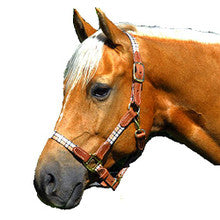 Halter - Highland Plaid Halter with Leather (Horse Size) - Brown Plaid