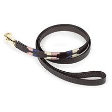 Dog Leash - Digby & Fox Drover Polo (Navy, Pink and Neutral)