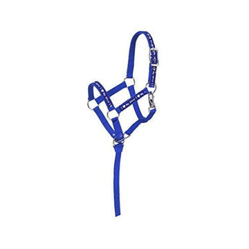 Halter - "I Love My Mini" Nylon w/Catch Lead