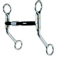 Bit - Reinsman Easy Rider - Sweet, Billy Allen