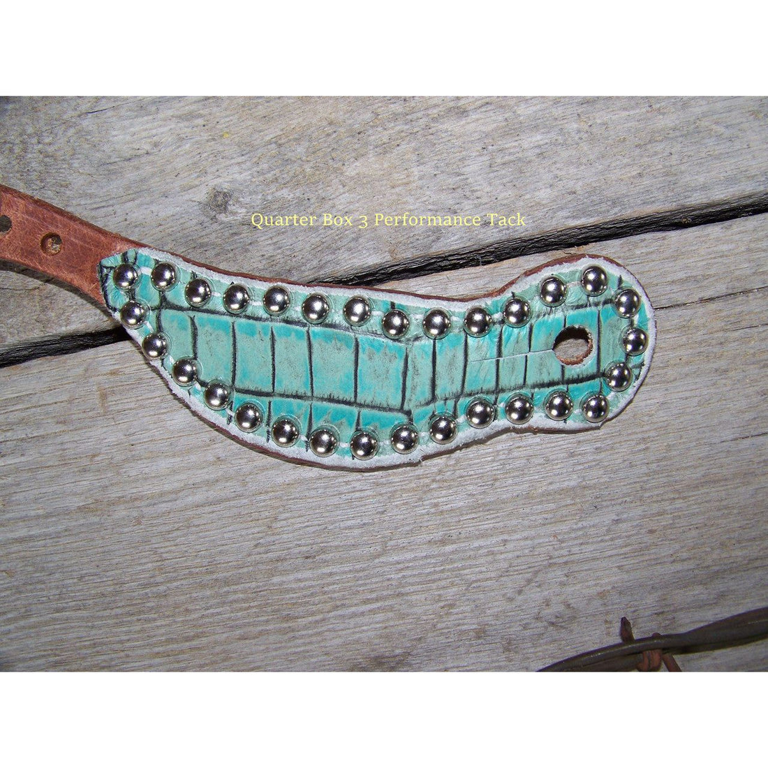 Spur Straps - Harness Leather, Exotic Print, SS Dots (Youth - Turquoise Gator)