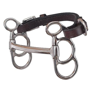 Bit - Butterfly Pony Diamond R