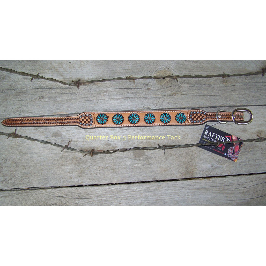 Dog Collar - Painted Zuni, Turquoise Sun Spots by Rafter T Ranch