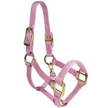 Halter - Nylon Miniature with Double Buckles on Crown (Pink - Mini)