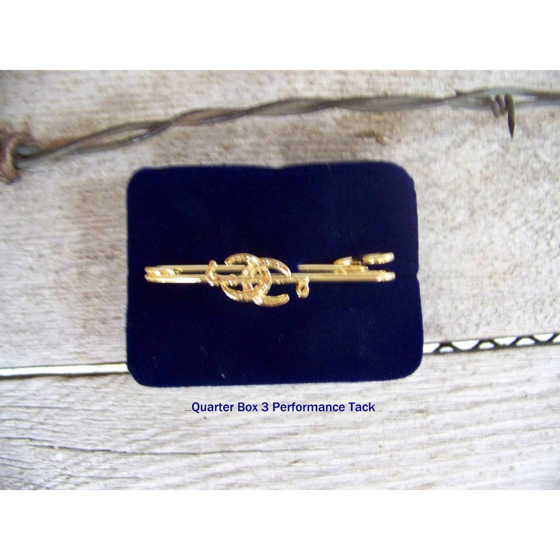 Stock Pin - Exselle Crop with Two Horseshoes