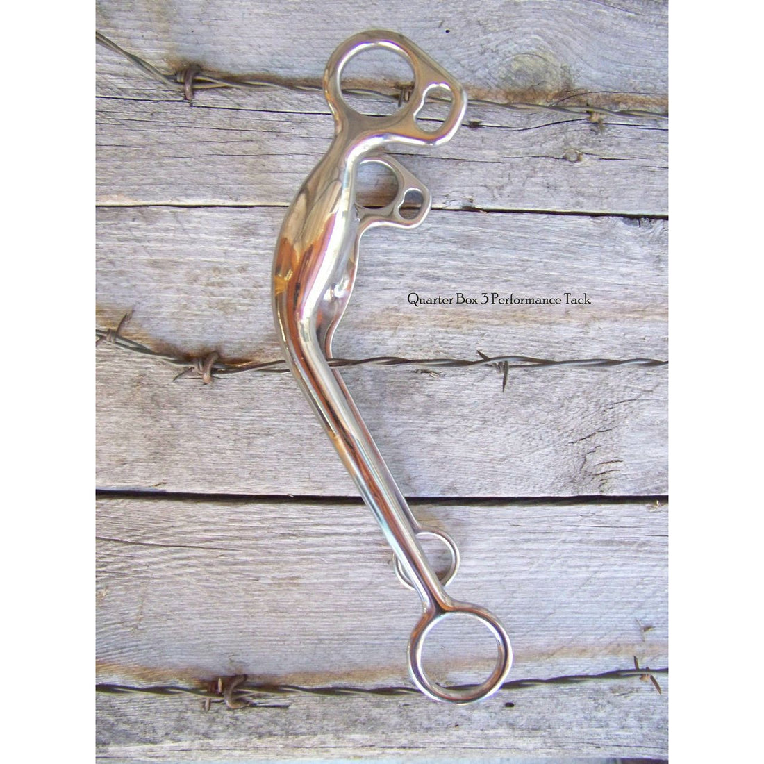 Bit - SS Curb Bit with Medium Port