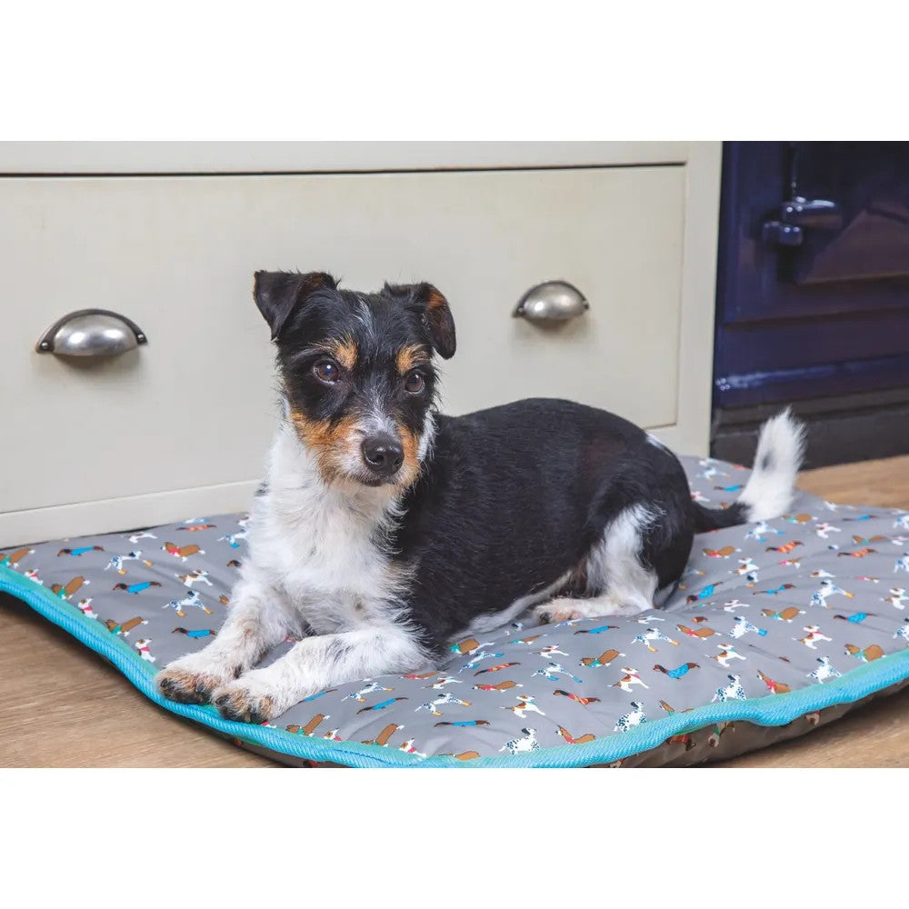 Dog Bed - Waterproof Digby & Fox