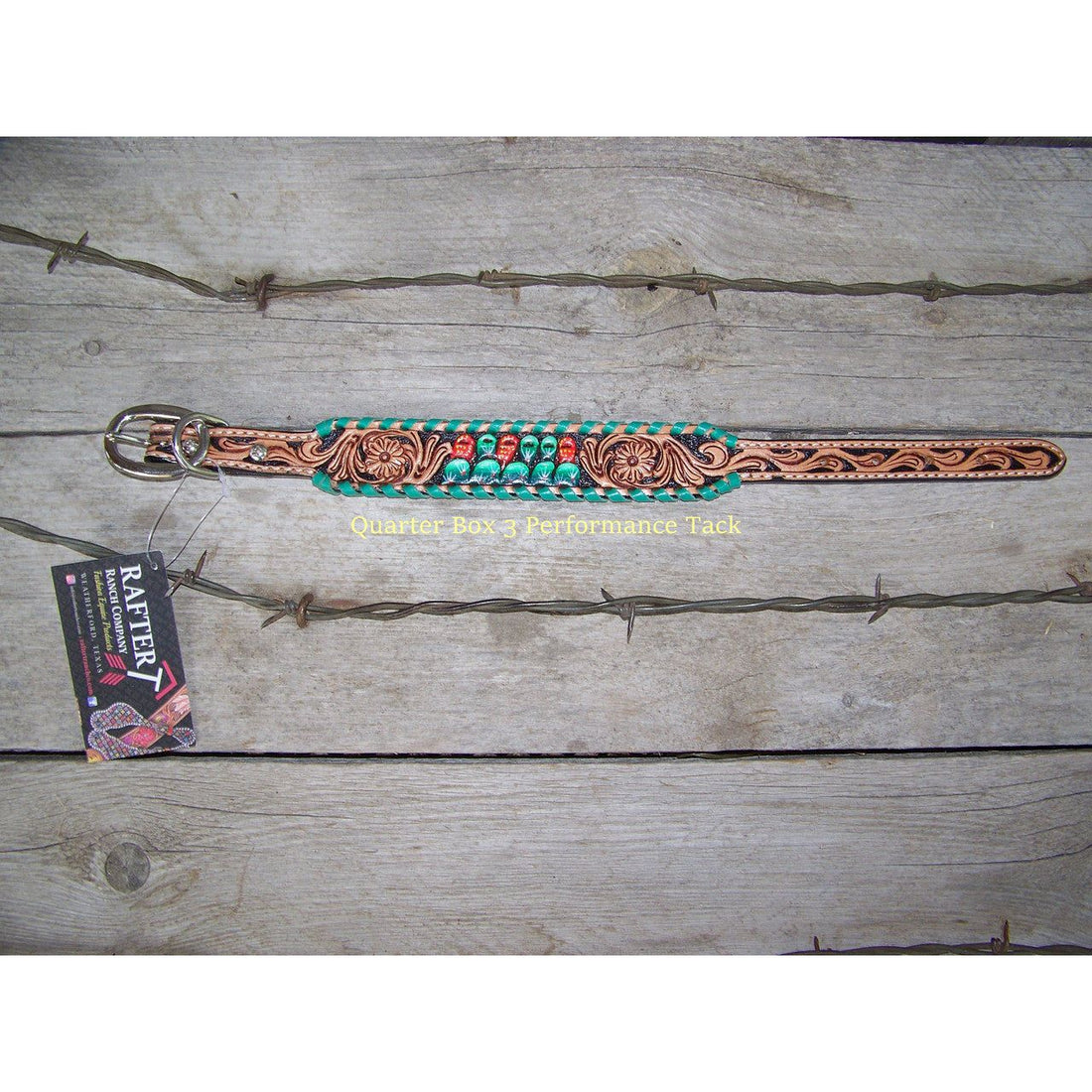 Dog Collar - Painted Cactus, Turquoise Whipstitch by Rafter T Ranch