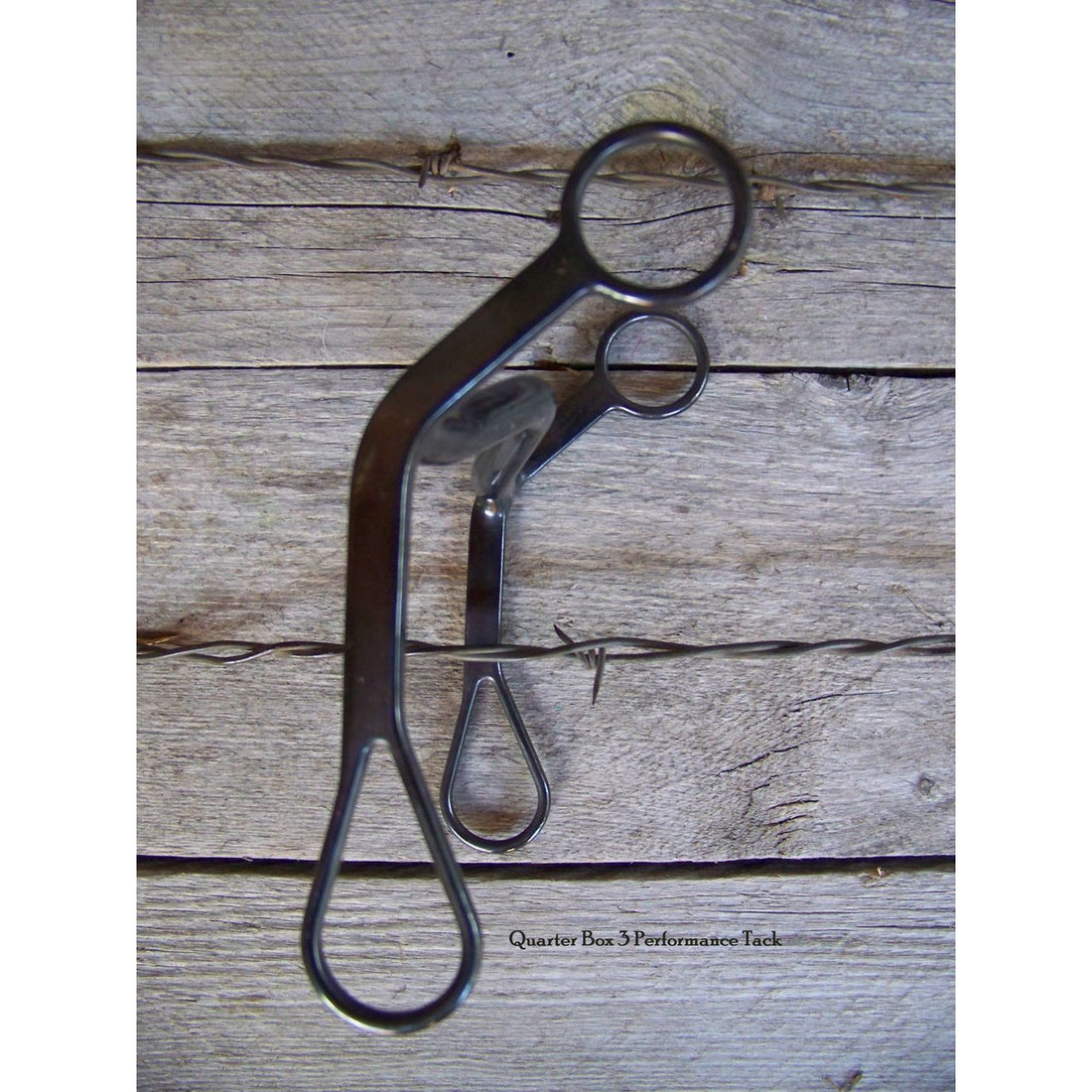 Bit - Black Satin Grazer