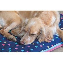 Dog Bed - Waterproof Digby & Fox (Tennis Balls - 80" x 100")