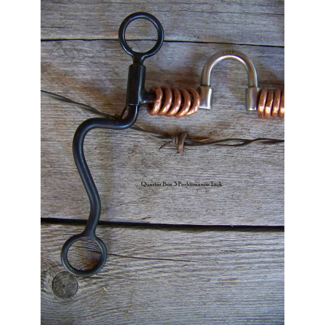 Bit - Black Satin Training Bit with Correction Mouth, Copper Rings