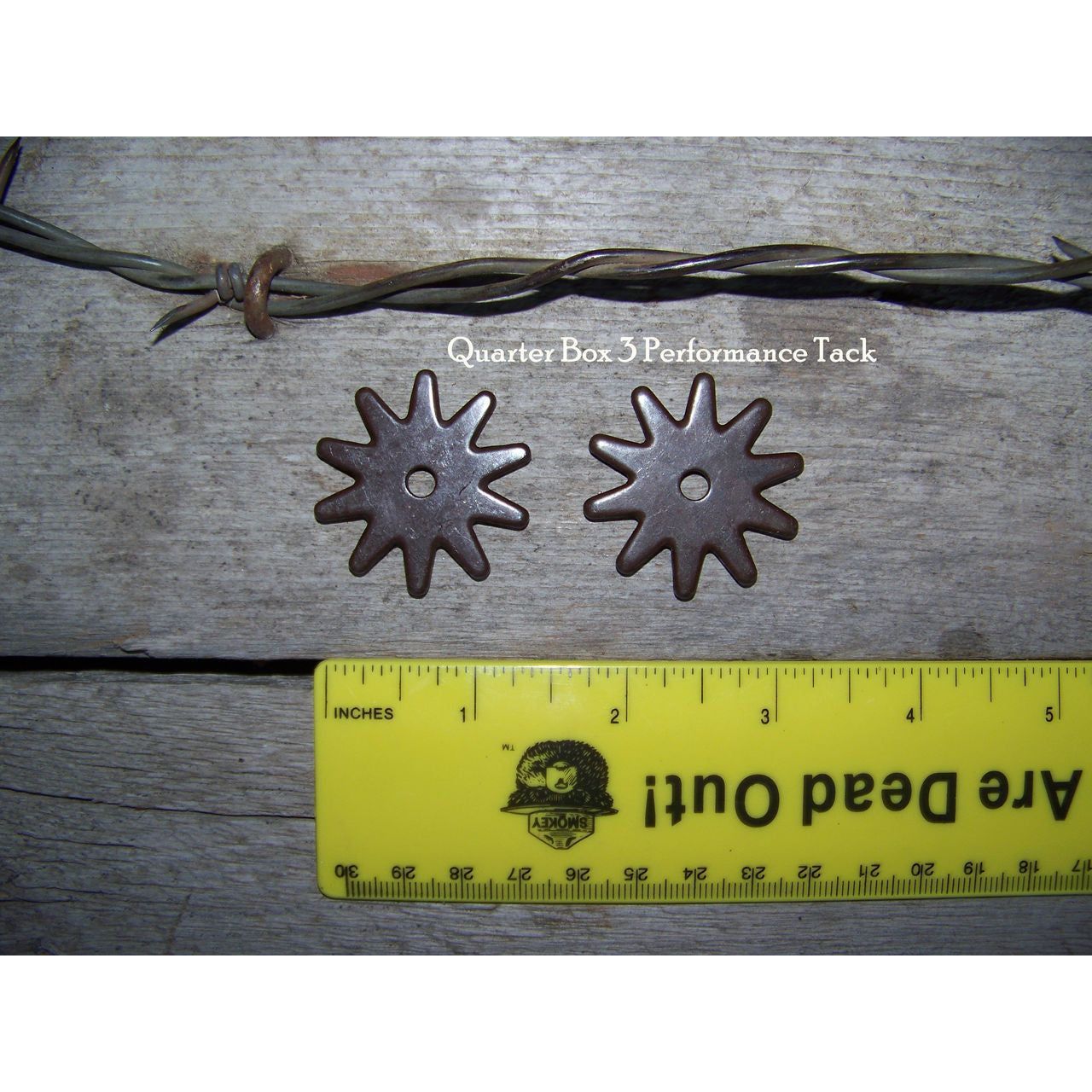 Rowels - 10 Point - Antique Star (1 1/2") with Cotter and Pins