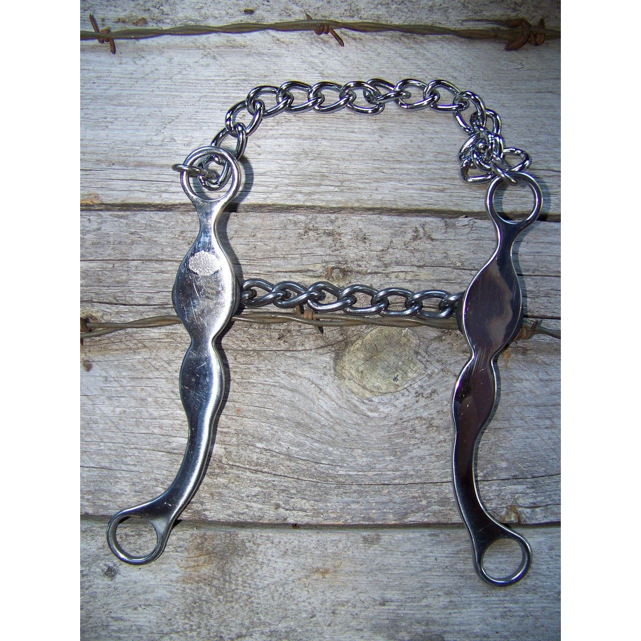 Bit - SS Roping Bit with Chain Mouth